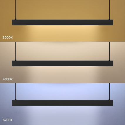 LED Lustr na lanku LINEA LED/36W/230V 3000/4000/5700K CRI 90 černá