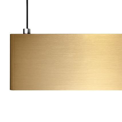 LED Lustr na lanku LINEA LED/36W/230V 3000/4000/5700K CRI 90 zlatá