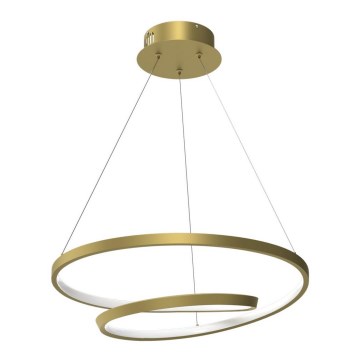 LED Lustr na lanku LUCERO LED/48W/230V zlatá