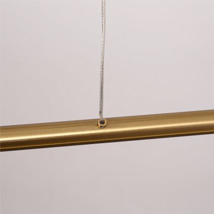LED Lustr na lanku MELECA LED/36W/230V 3000/4000/6000K 160 cm zlatá