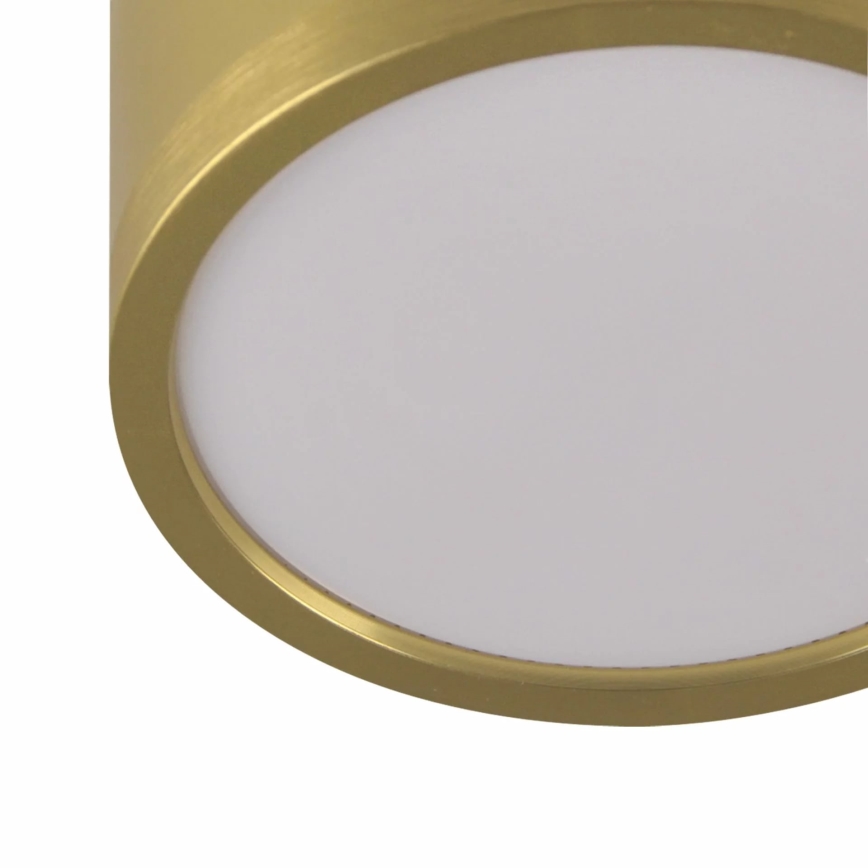 LED Lustr na lanku MIRELLA 3xGX53/6W/230V zlatá/černá