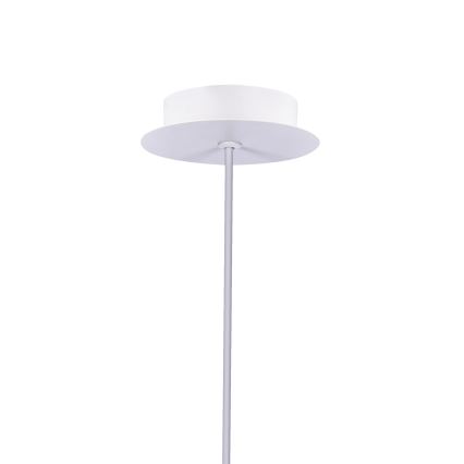 LED Lustr na lanku MODENA LED/5W/230V