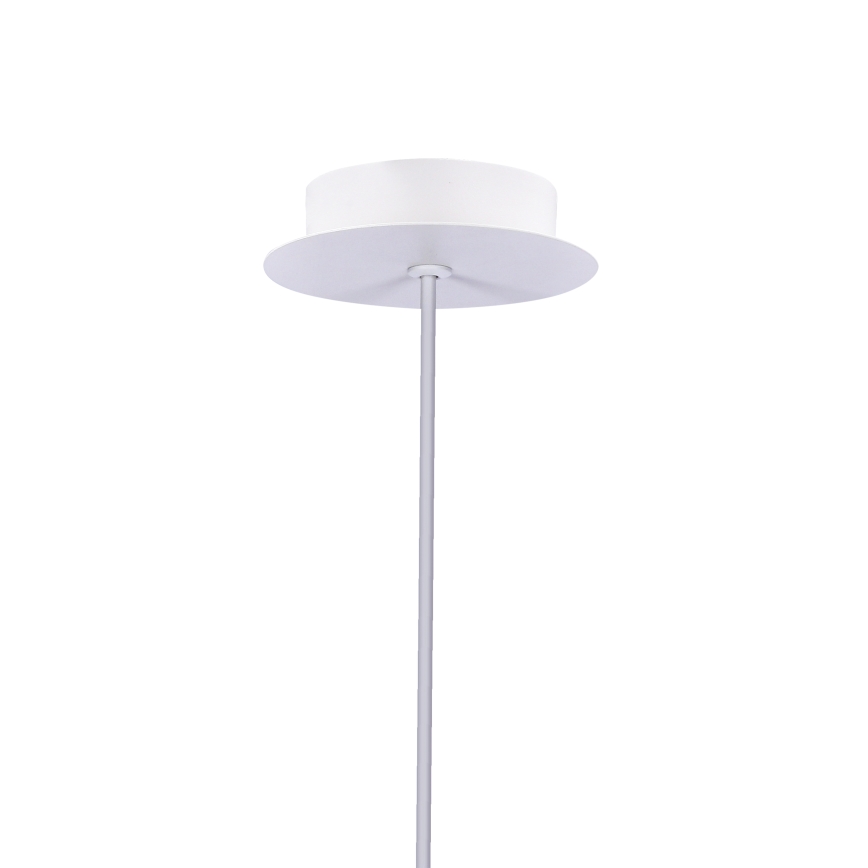 LED Lustr na lanku MODENA LED/5W/230V