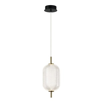 LED Lustr na lanku PELLUCID LED/11W/230V zlatá/čirá