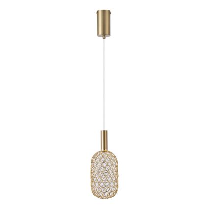 LED Lustr na lanku PERFORATO LED/6,3W/230V 3000K zlatá pr. 13 cm