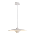 LED Lustr na lanku RENE LED/19W/230V CRI 90 bílá