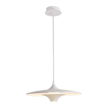 LED Lustr na lanku RENE LED/19W/230V CRI 90 bílá