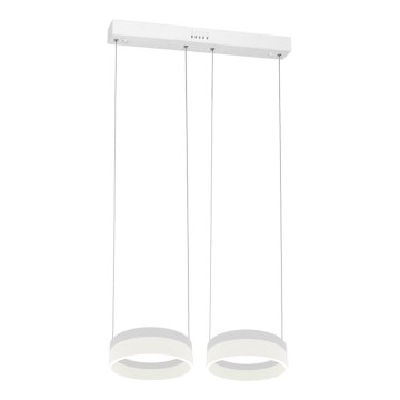 LED Lustr na lanku RING 2xLED/12W/230V