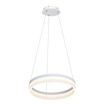 LED Lustr na lanku RING LED/24W/230V