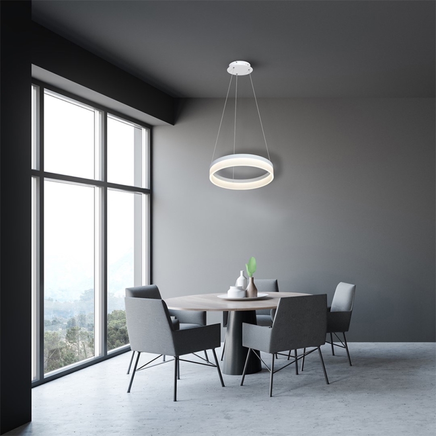 LED Lustr na lanku RING LED/24W/230V