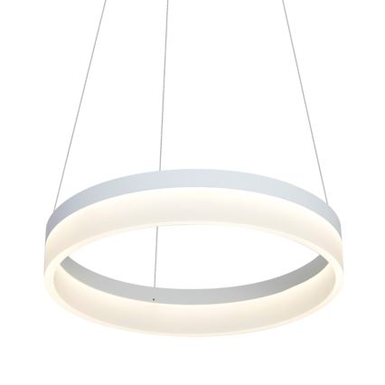 LED Lustr na lanku RING LED/24W/230V