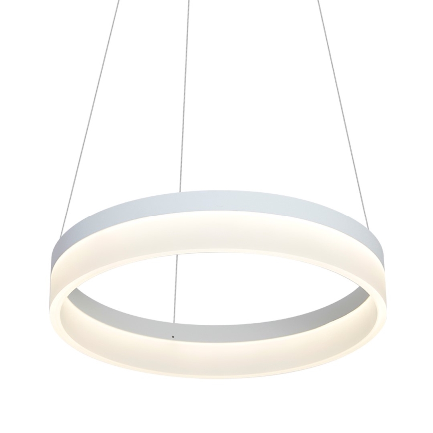 LED Lustr na lanku RING LED/24W/230V