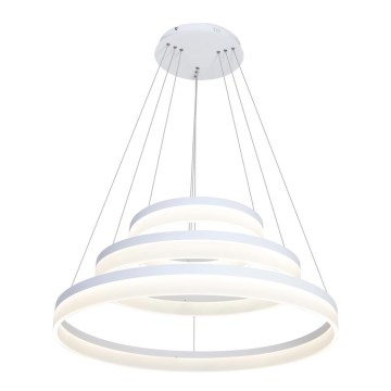 LED Lustr na lanku RING LED/62W/230V