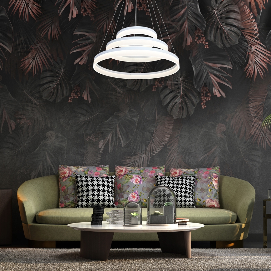 LED Lustr na lanku RING LED/62W/230V