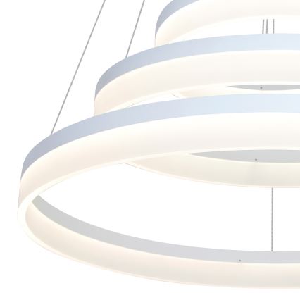 LED Lustr na lanku RING LED/62W/230V