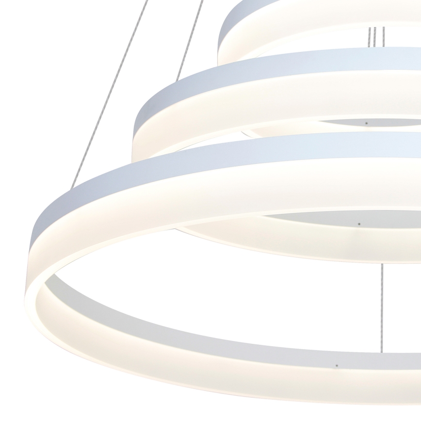 LED Lustr na lanku RING LED/62W/230V