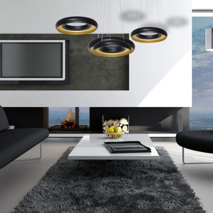 LED Lustr na lanku RONDO 3xLED/12W/230V černá