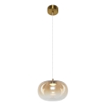 LED Lustr na lanku VASO LED/4W/230V pr. 18 cm zlatá/kouřová