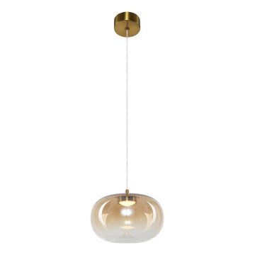 LED Lustr na lanku VASO LED/4W/230V pr. 18 cm zlatá/kouřová