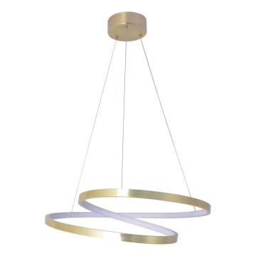 LED Lustr na lanku ZEFIRA LED/40W/230V 4000K pr. 50 cm zlatá