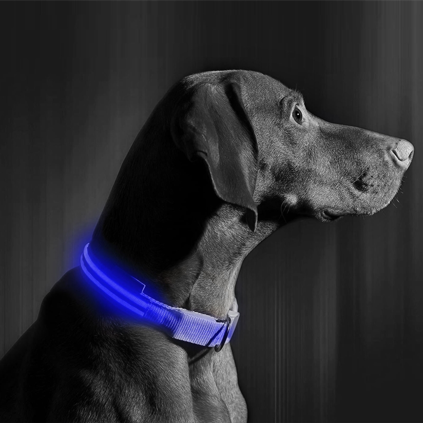 LED Nabíjecí obojek 35-43 cm 1xCR2032/5V/40 mAh modrá