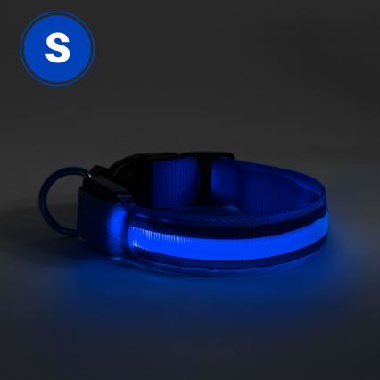 LED Nabíjecí obojek 35-43 cm 1xCR2032/5V/40 mAh modrá