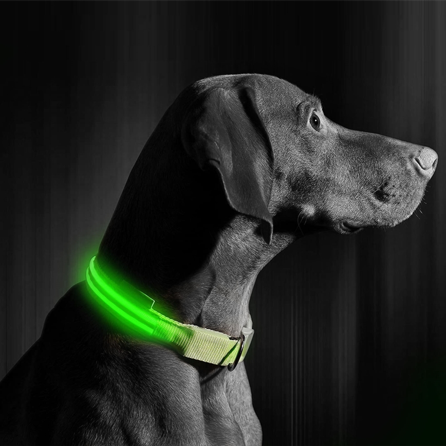 LED Nabíjecí obojek 40-48 cm 1xCR2032/5V/40 mAh zelená