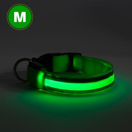 LED Nabíjecí obojek 40-48 cm 1xCR2032/5V/40 mAh zelená