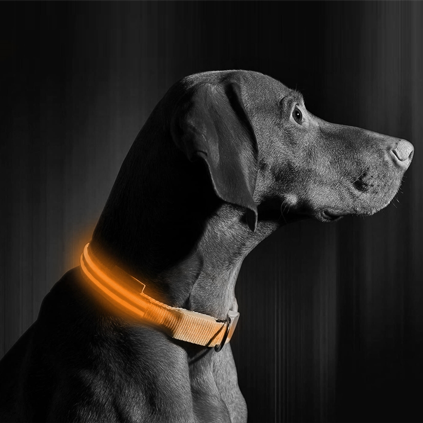 LED Nabíjecí obojek 45-52 cm 1xCR2032/5V/40 mAh oranžová