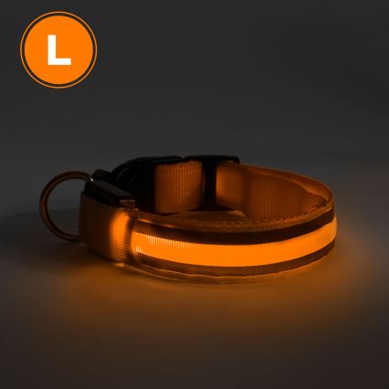 LED Nabíjecí obojek 45-52 cm 1xCR2032/5V/40 mAh oranžová