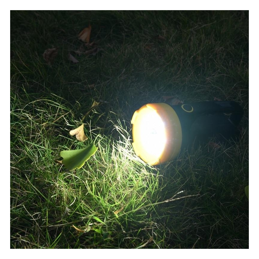 LED Nabíjecí svítilna 2xLED/5W/4000mA