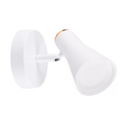 LED Nástěnné bodové svítidlo BERG LED/4,2W/230V bílá