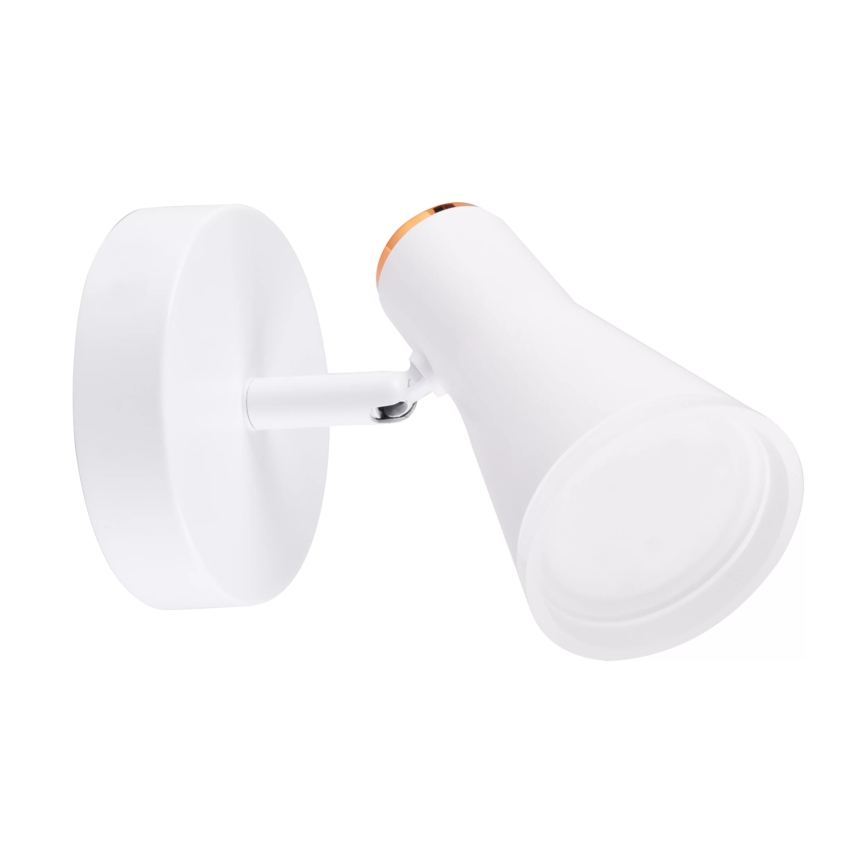 LED Nástěnné bodové svítidlo BERG LED/4,2W/230V bílá