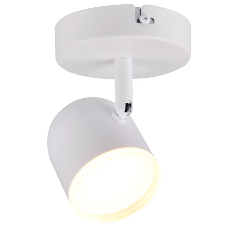 LED Nástěnné bodové svítidlo RAWI LED/4,2W/230V bílá