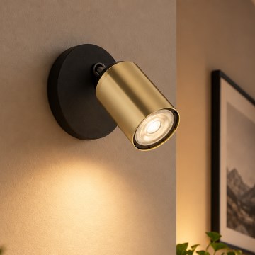 LED Nástěnné bodové svítidlo TOP 1xGU10/10W/230V černá/zlatá