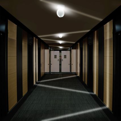 LED Nástěnné svítidlo 360° LED/6W/230V