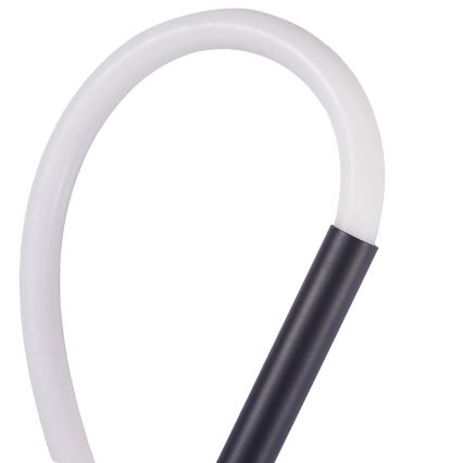 LED Nástěnné svítidlo EMMA LED/19W/230V černá