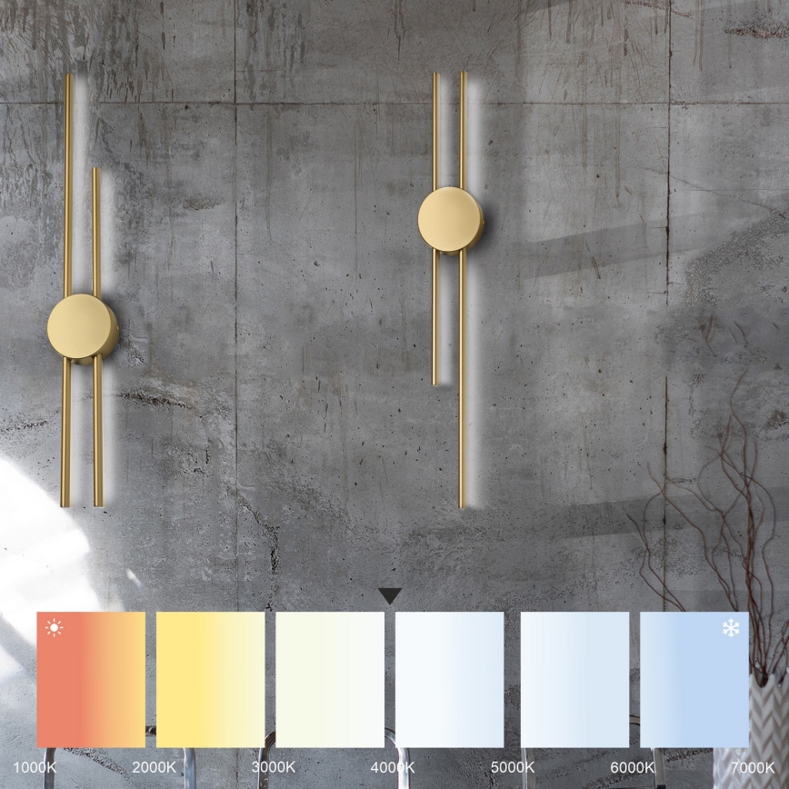 LED Nástěnné svítidlo LANA LED/15W/230V 4000K matná zlatá