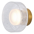 LED Nástěnné svítidlo NIMBUS LED/8W/230V 3000K zlatá/čirá