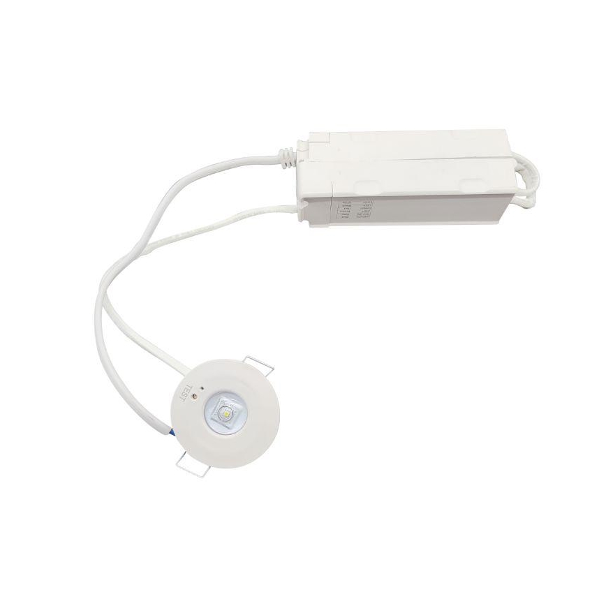 LED Nouzové podhledové svítidlo LED/1,2W/230V 6000K