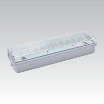 LED Nouzové svítidlo CARLA LED/5,51W/230V dočasné 1h/350 mAh IP65