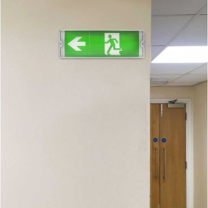 LED Nouzové svítidlo s pravidelným testem funkčnosti EMERGENCY EXIT LED/3W/230V 6400K IP65