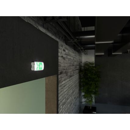 LED Nouzové svítidlo VIRGO EVO LED/1W/230V 6000K IP65