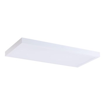 LED Panel LED/36W/230V 4000K 30x60 cm bílá