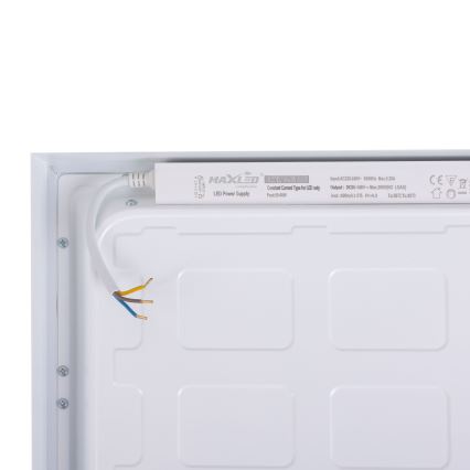 LED Panel LED/36W/230V 4000K 30x60 cm bílá