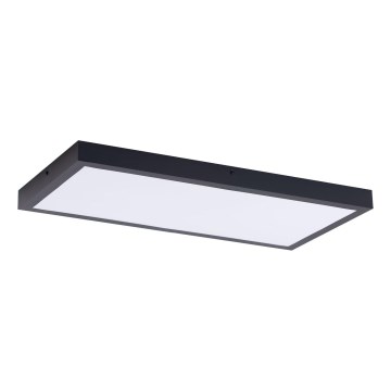 LED Panel LED/36W/230V 4000K 30x60 cm černá