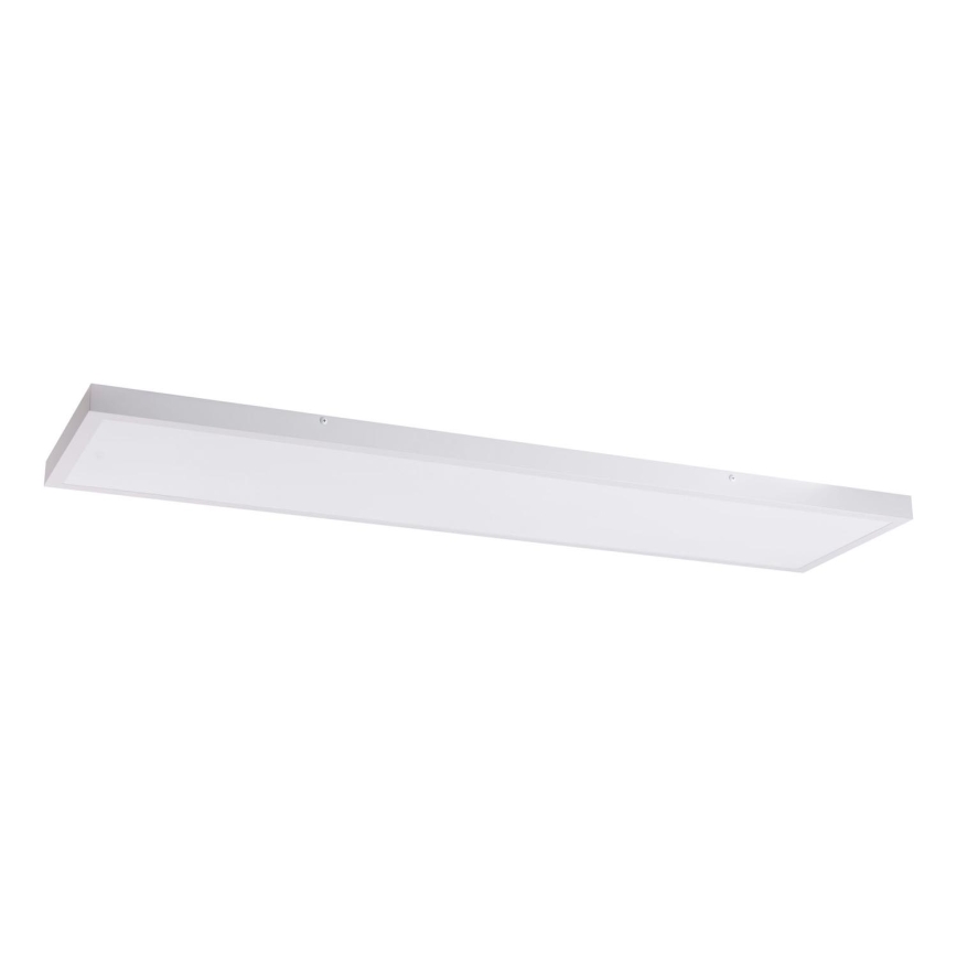 LED Panel LED/60W/230V 4000K 30x120 cm bílá