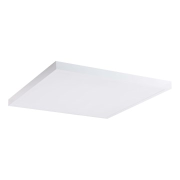 LED Panel LED/60W/230V 4000K 60x60 cm bílá