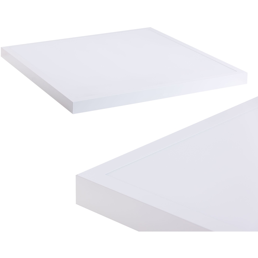 LED Panel LED/60W/230V 4000K 60x60 cm bílá