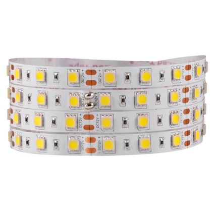 LED Pásek 5m LED/10W/12V IP20 bílá